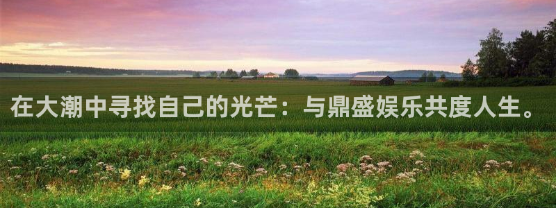 sunbet申搏：在大潮中寻找自己的光芒：与鼎盛娱乐共度人生。