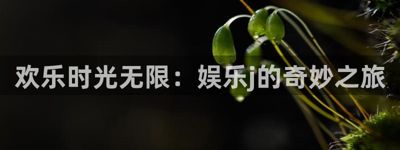 申慱sunbet手机版登管理网：欢乐时光无限：娱乐j的奇妙之旅