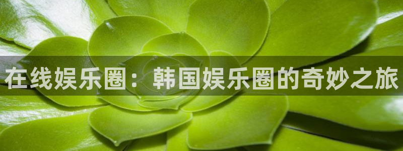 sunbet官网手机版：在线娱乐圈：韩国娱乐圈的奇妙之旅