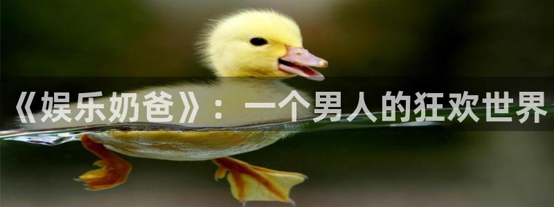 sunbet(中国区)官方网站：《娱乐奶爸》：一个男人的狂欢世界