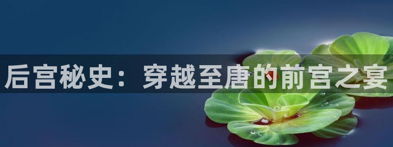 sunbet(中国区)官方网站：后宫秘史：穿越至唐的前宫之宴
