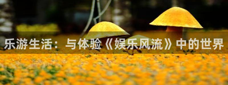 sunbet(中国区)官方网站：乐游生活：与体验《娱乐风流》中的世界