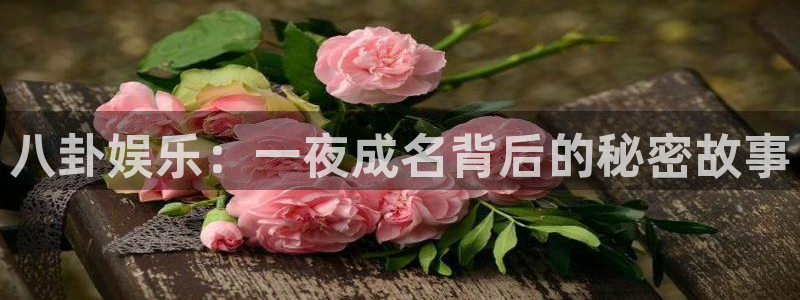 sunbet集团中国官网入口：八卦娱乐：一夜成名背后的秘密故事