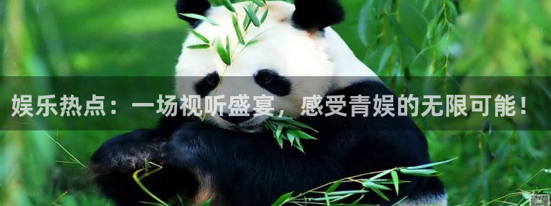 sunbet集团中国官网入口