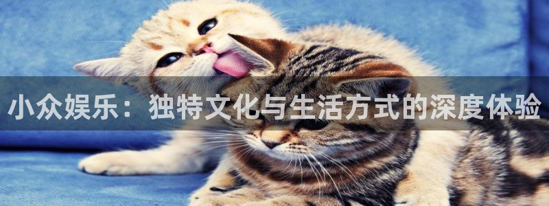 sunbet官网：小众娱乐：独特文化与生活方式的深度体验