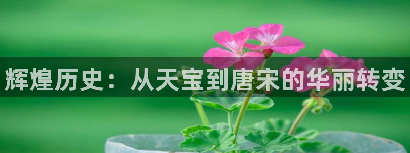 sunbet(中国区)官方网站：辉煌历史：从天宝到唐宋的华丽转变
