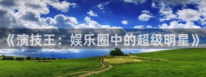 sunbet集团中国官网入口：《演技王：娱乐圈中的超级明星》