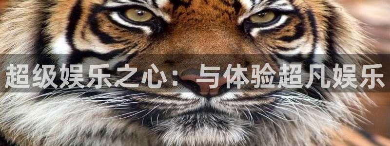 sunbet申搏：超级娱乐之心：与体验超凡娱乐
