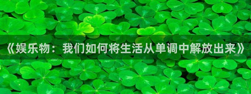 sunbet集团中国官网入口：《娱乐物：我们如何将生活从单调中解放出来》