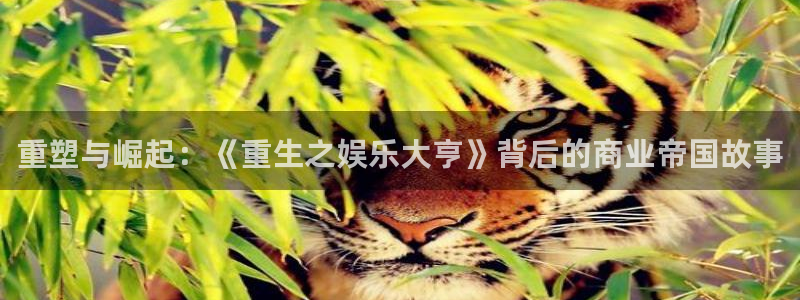 sunbet(中国区)官方网站：重塑与崛起：《重生之娱乐大亨》背后的商业帝国故事