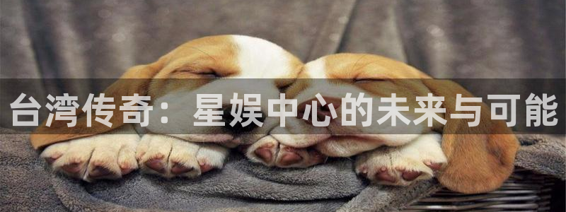 sunbet集团中国官网入口：台湾传奇：星娱中心的未来与可能
